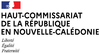 Communiqué de presse relatif au budget 2021 de la Nouvelle-Calédonie arrêté par le Haut-commissaire