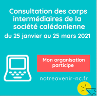CONSULTATION DES CORPS INTERMÉDIAIRES : www.notreavenir-nc.fr