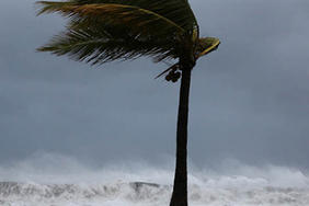 Cyclone OMA : l'Etat a activé le fonds de secours Outre-mer