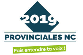 Provinciales 2019 - Résultats définitifs
