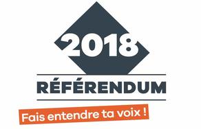 Référendum : Retrouvez ici les résultats définitifs de la consultation du 4 novembre 2018